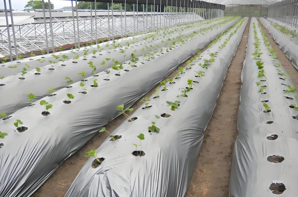 地膜用碳酸鈣磨粉機 地膜用碳酸鈣磨粉機