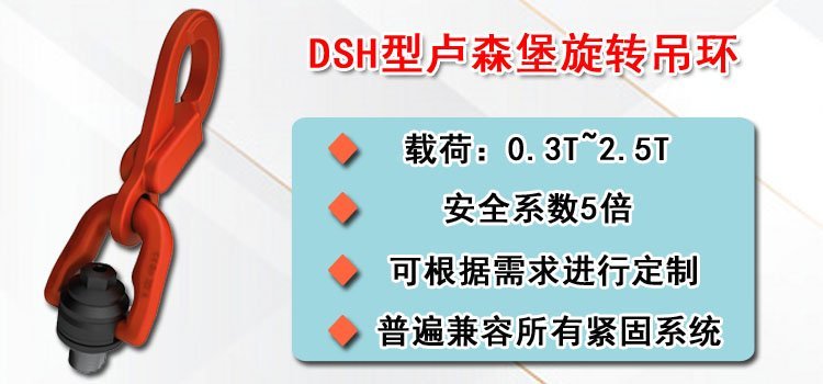 DSH型盧森堡旋轉吊環介紹